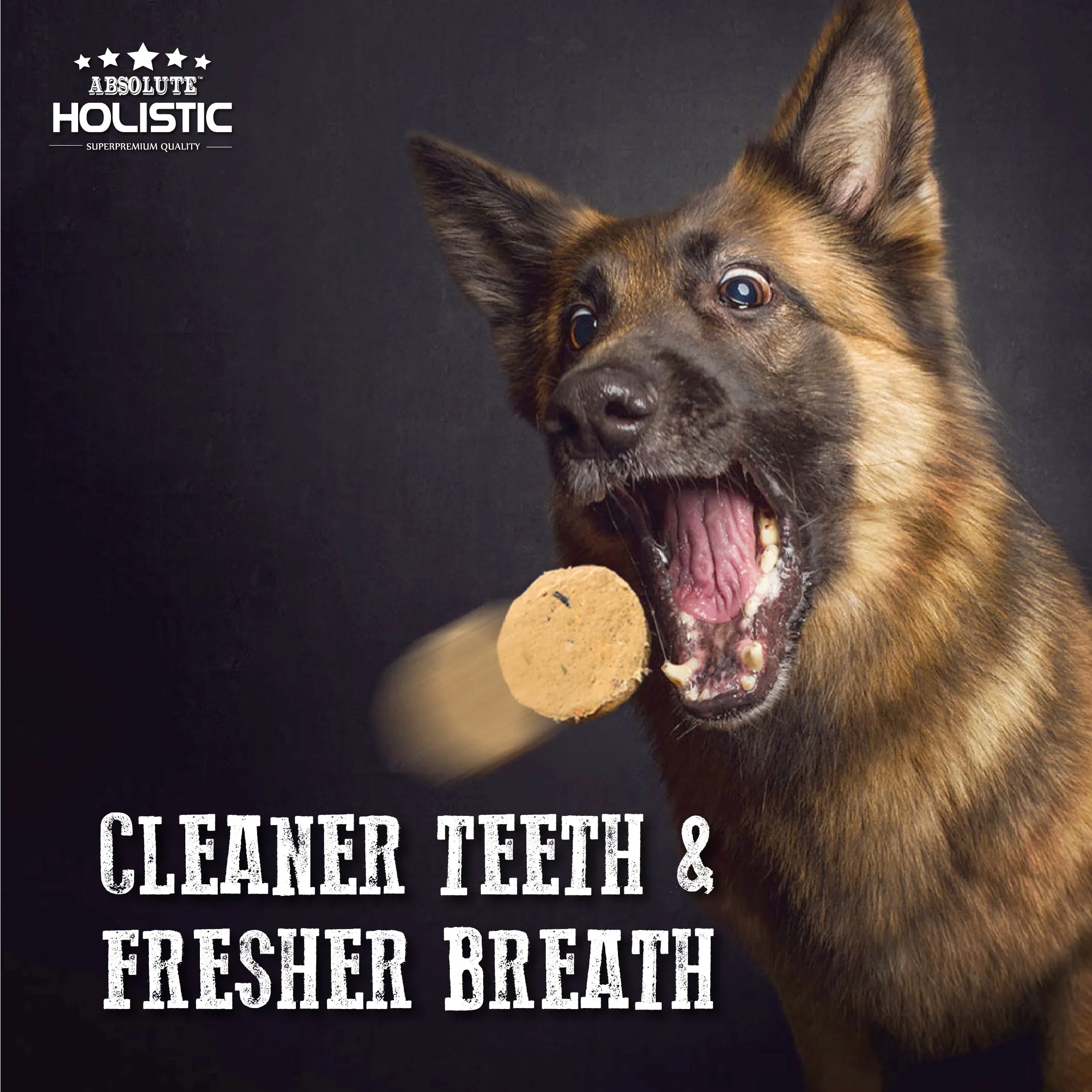 Absolute Holistic Freeze Dried Patties Dog Food (Chicken)