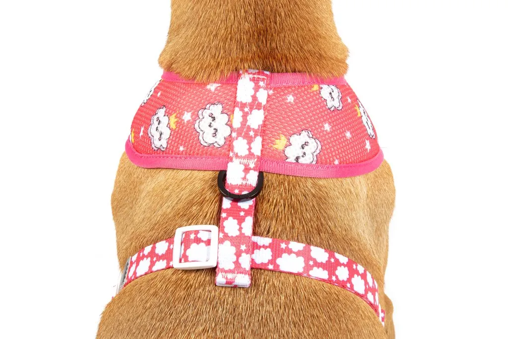 Big & Little Dogs Reversible Dog Harness - Slumber Party