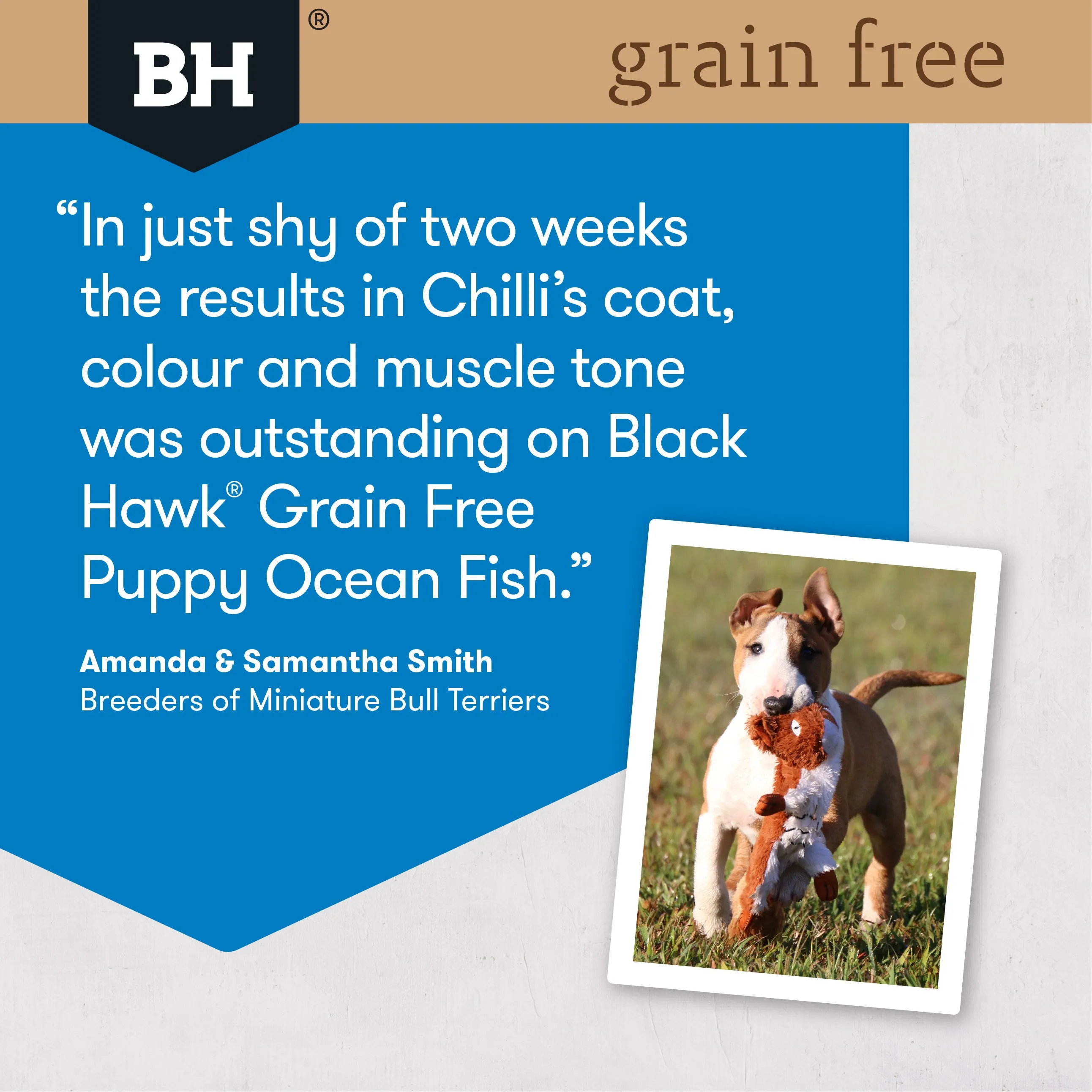 Black Hawk Puppy Grain Free Ocean Fish Dry Dog Food
