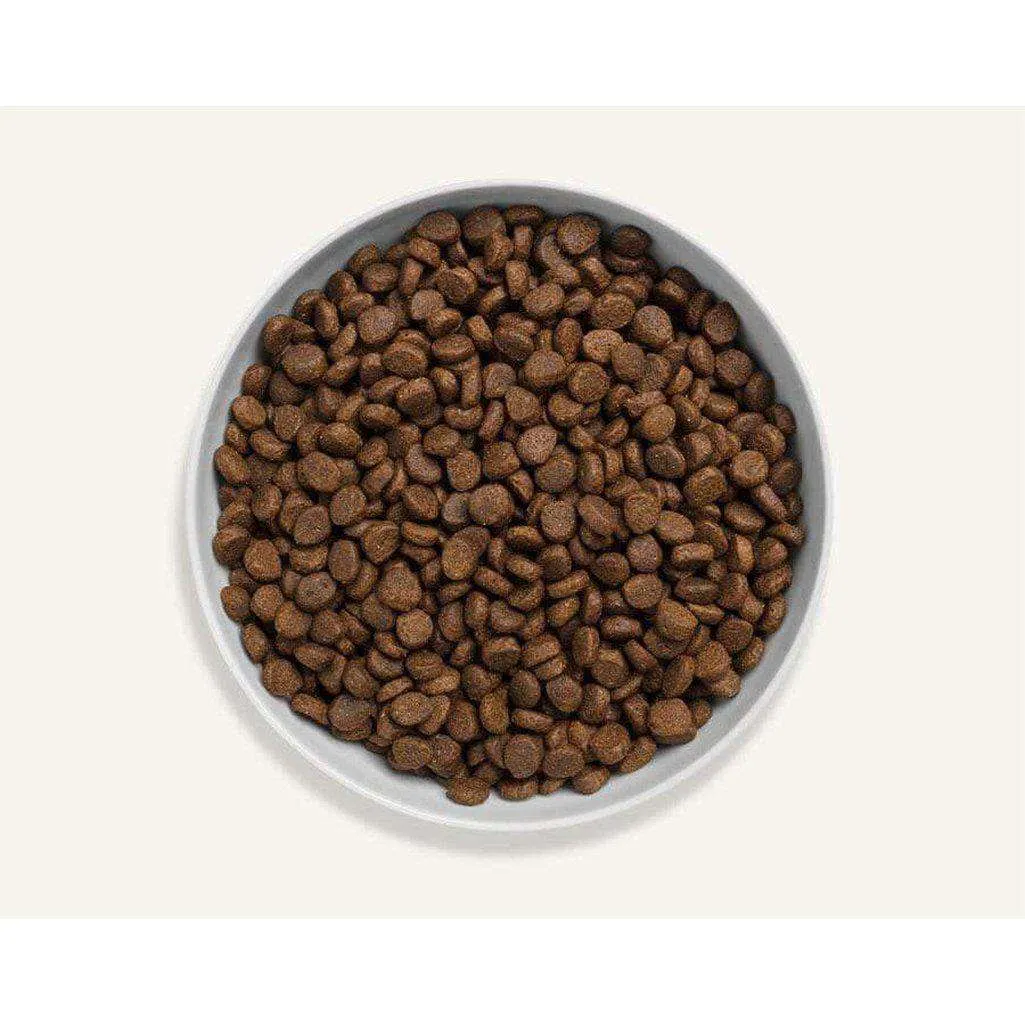 Canagan Free Run Chicken Grain Free Dry Cat Food