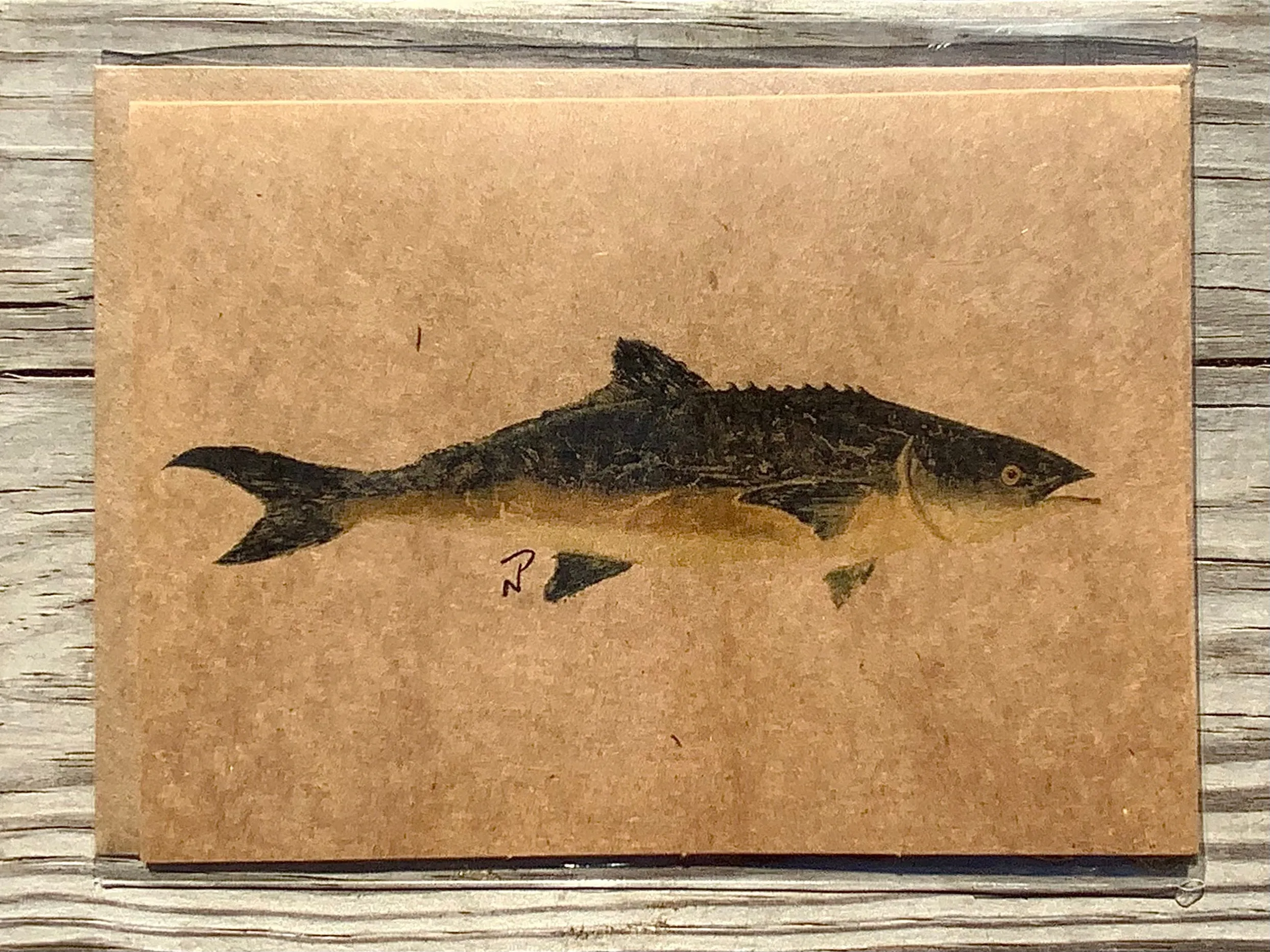 Cobia Gyotaku Greeting Cards
