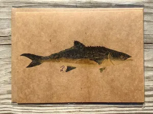 Cobia Gyotaku Greeting Cards