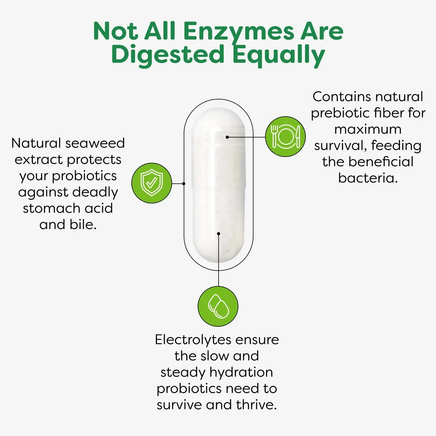Daily Digestive Enzymes Capsules - 90 Count