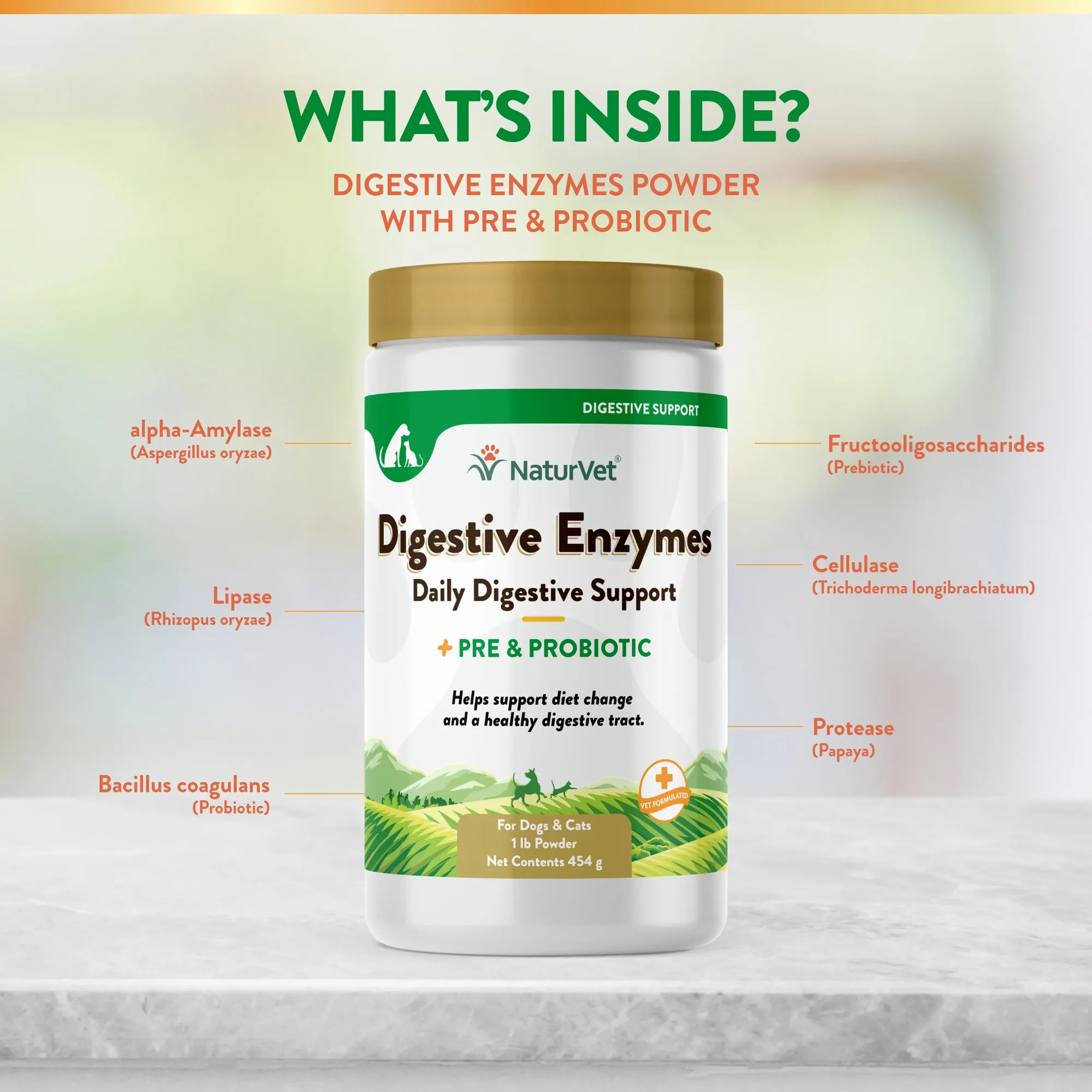 Digestive Enzymes Powder with Prebiotics & Probiotics