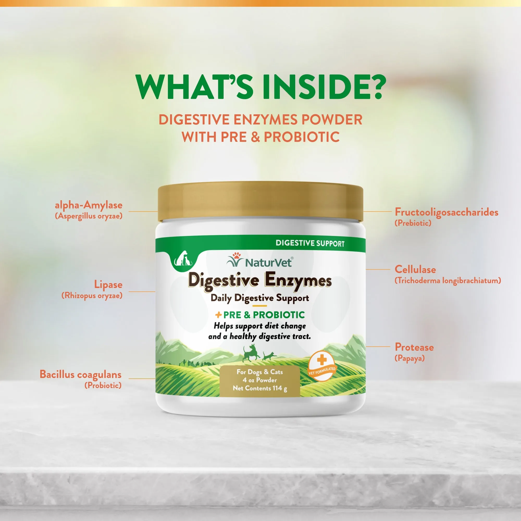 Digestive Enzymes Powder with Prebiotics & Probiotics