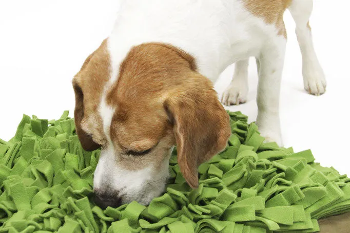 Dog Sniff and Search Interactive Nosework Puzzle Game, Schnüffelrasen, Sniffer Lawn Extra Large