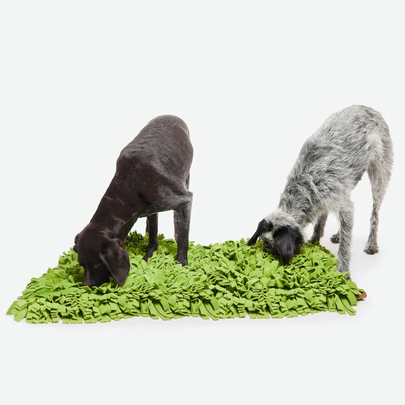 Dog Sniff and Search Interactive Nosework Puzzle Game, Schnüffelrasen, Sniffer Lawn Extra Large