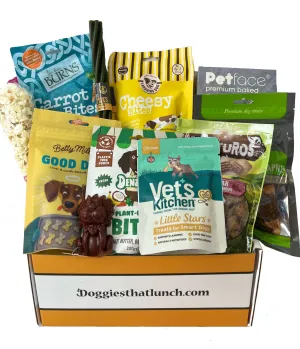 Doggy- Mystery Treat Box