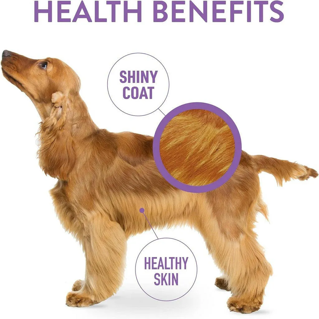 Dogswell Skin & Coat Soft & Chewy Salmon Flavored Treats for Dogs 14 oz