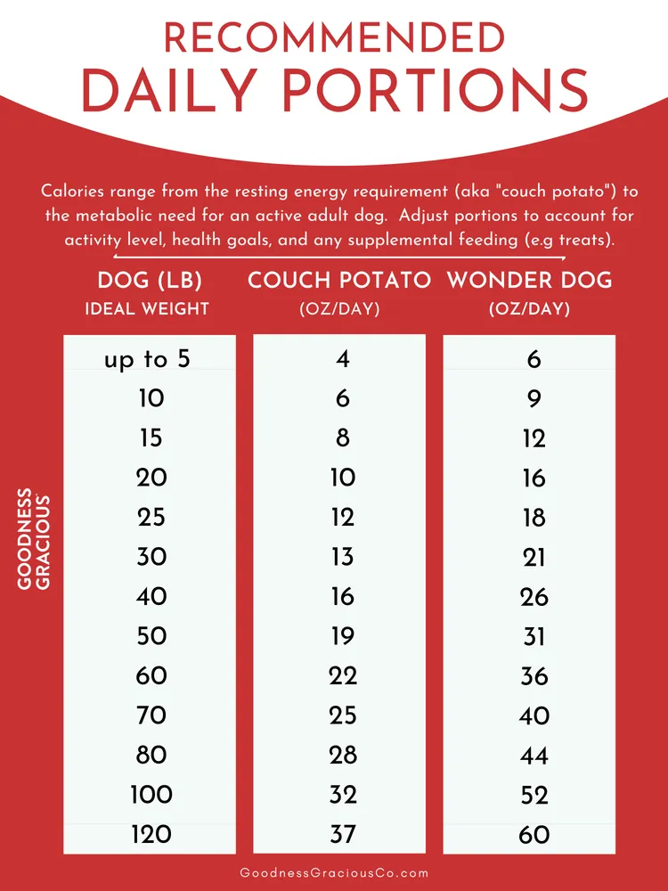 Goodness Gracious Human Grade Synthetic Free Pork with Salmon Recipe Gently Cooked Frozen Dog Food