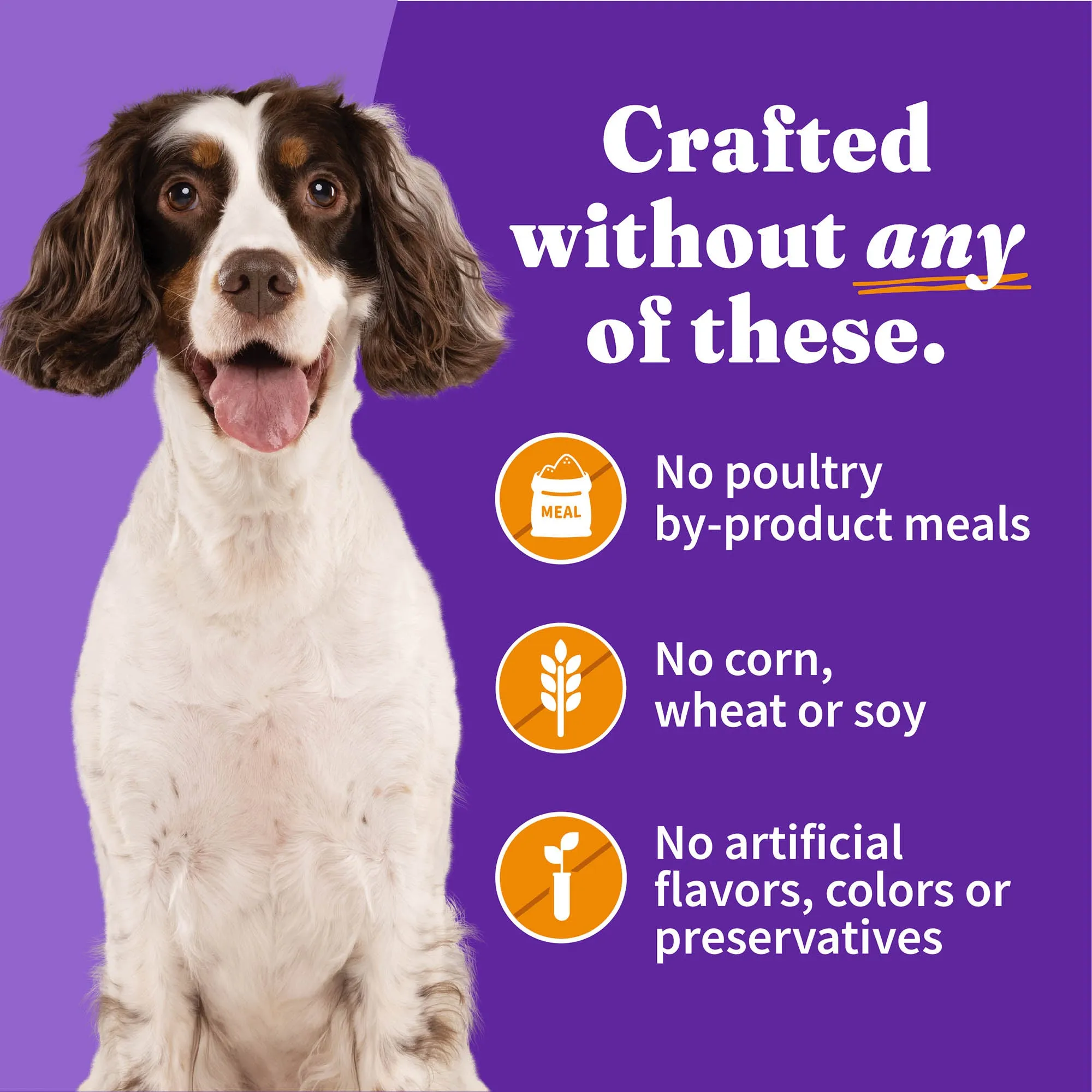 Healthy Grains Chicken Recipe Adult Wet Dog Food, 5.5 oz can (case of 12)