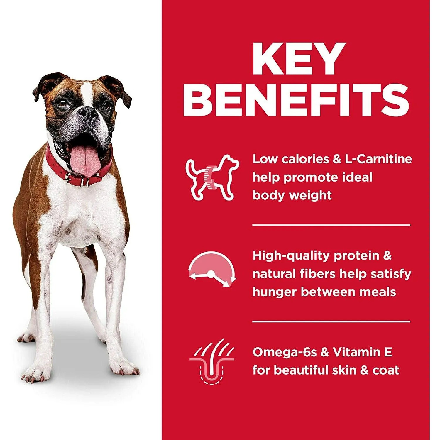 Hill's Science Diet Adult Light with Chicken Meal & Barley Dry Dog Food for Healthy Weight Management