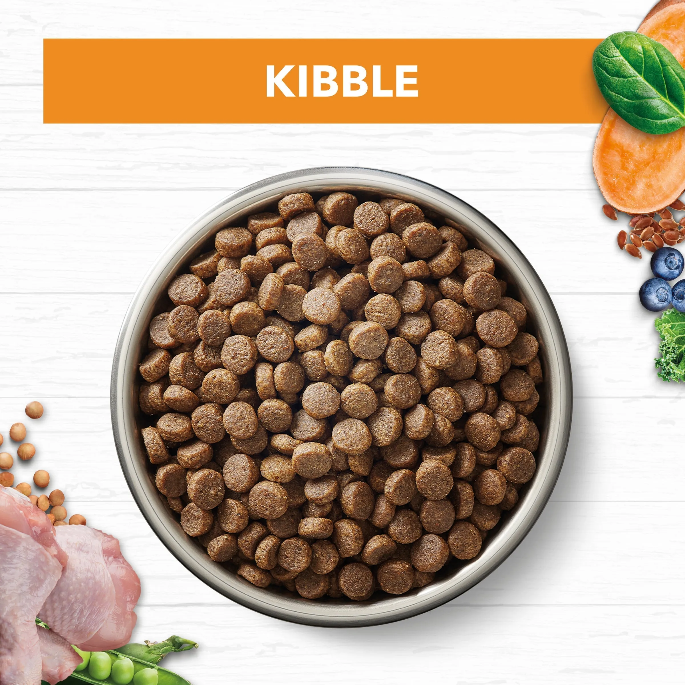 Ivory Coat Grain Free Chicken Adult Cat Dry Food 4kg^^^