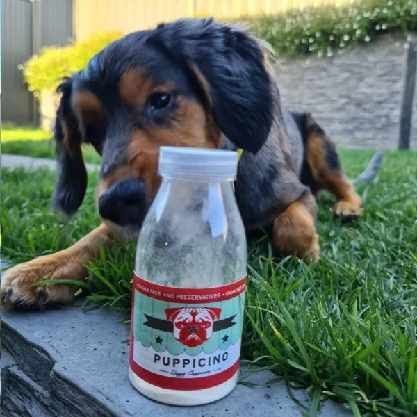 L'Barkery Puppicino Shaker   Pre Mix