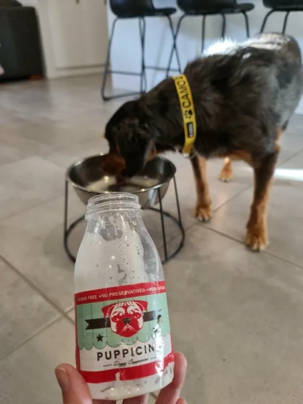 L'Barkery Puppicino Shaker   Pre Mix
