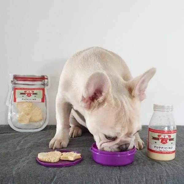 L'Barkery Puppicino Shaker   Pre Mix