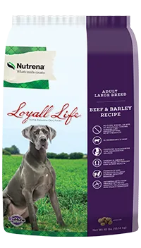 Loyall Life Adult Large Breed Beef and Barley Dry Dog Food