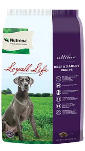 Loyall Life Adult Large Breed Beef and Barley Dry Dog Food