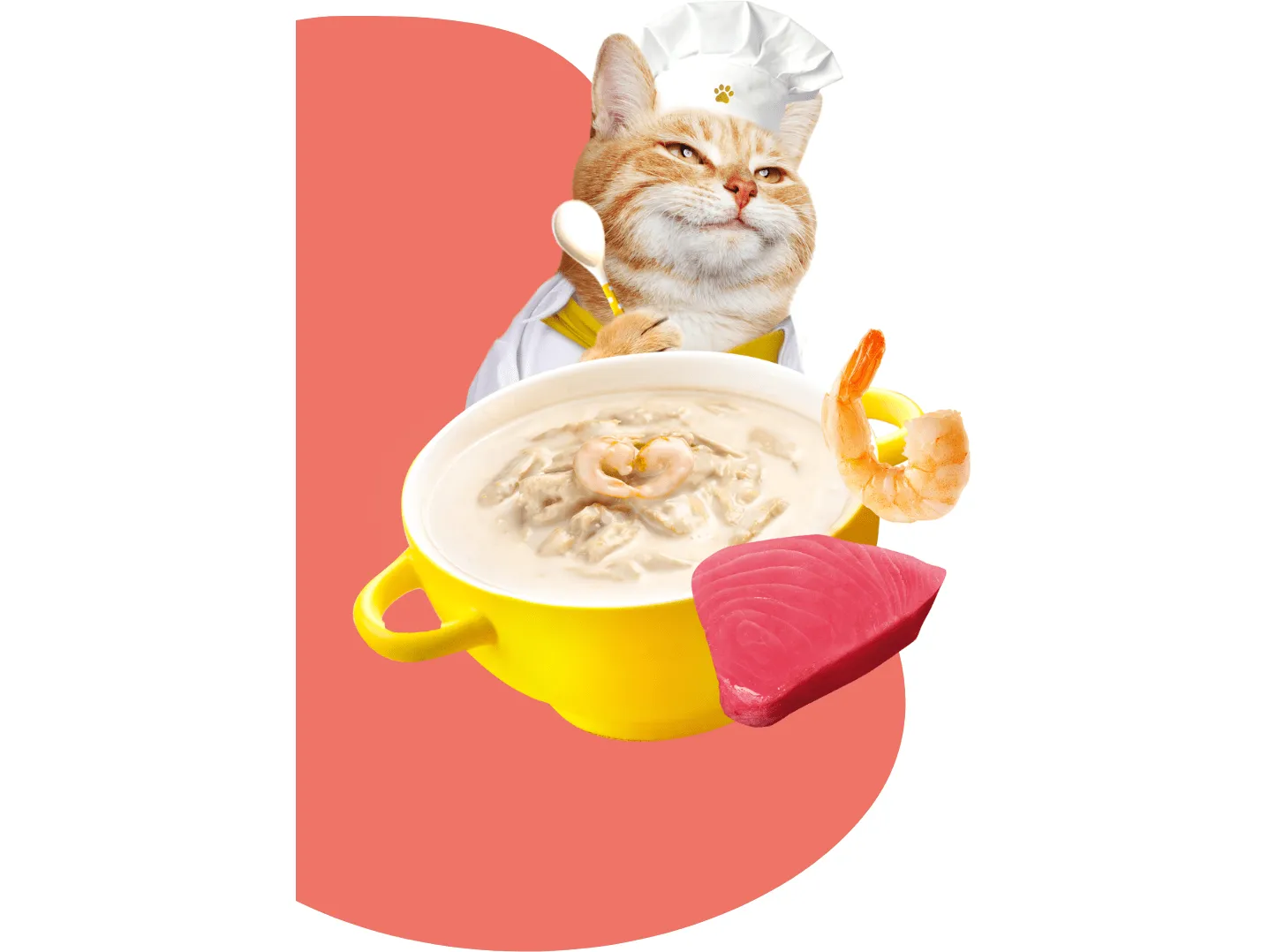 Moochie Broth Tuna & Shrimp  40G  Pouch