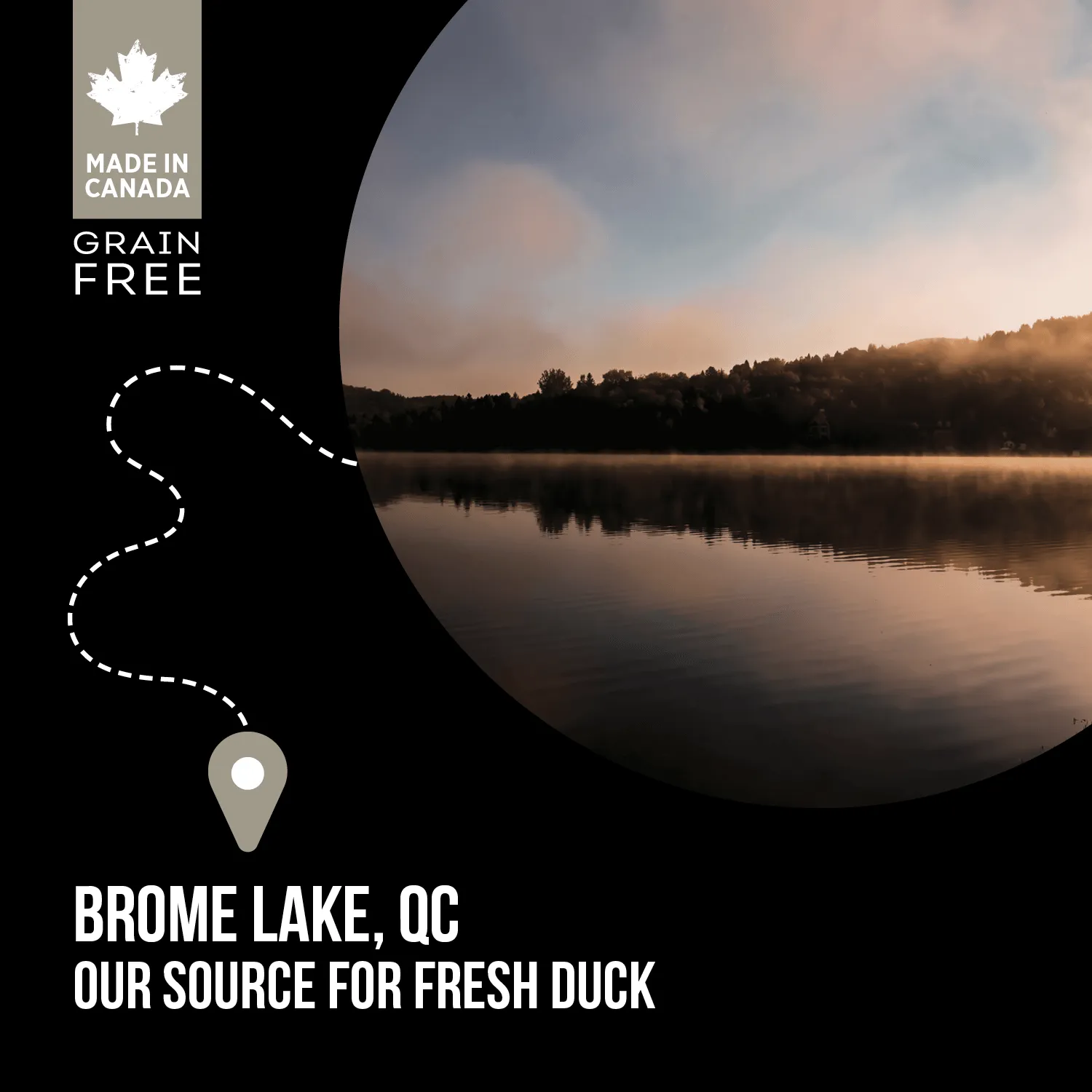 Nutrience Grain Free Dog Food SubZero Northern Lakes Duck