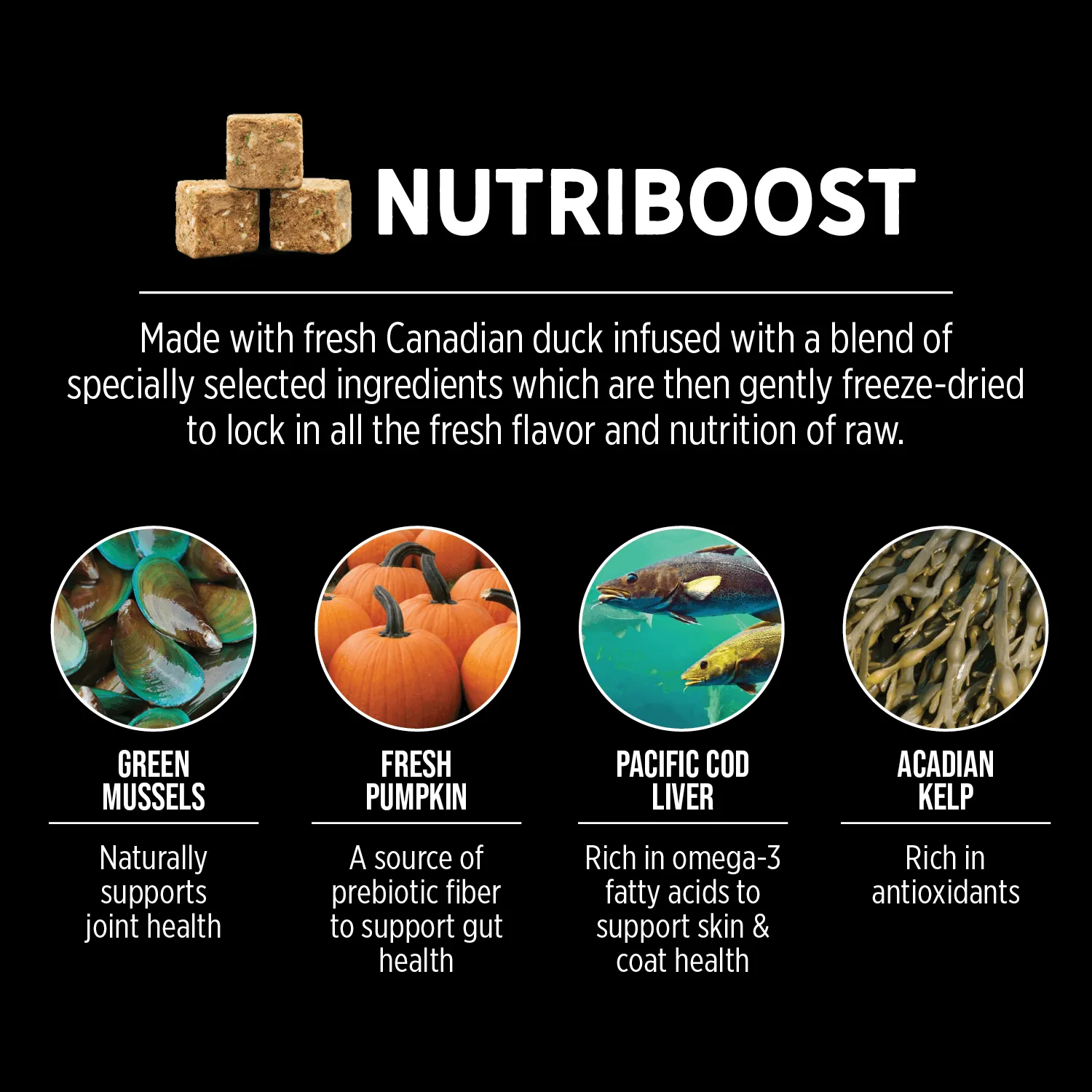 Nutrience Grain Free Dog Food SubZero Northern Lakes Duck