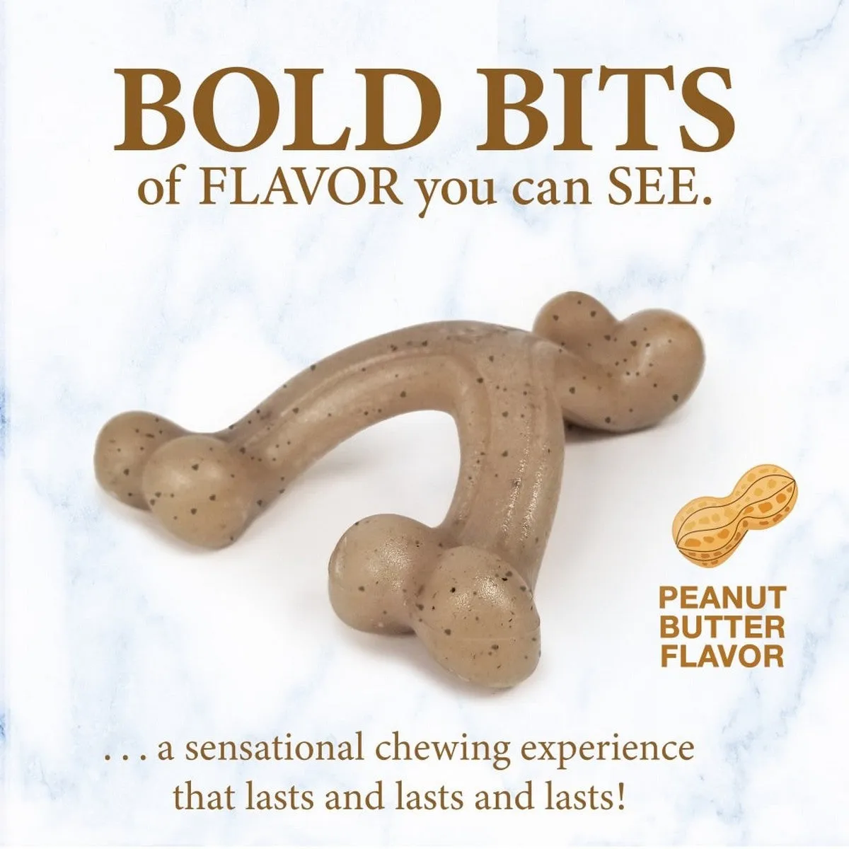 Nylabone Gourmet Style Strong Wishbone Puppy Chew Toy Small Regular
