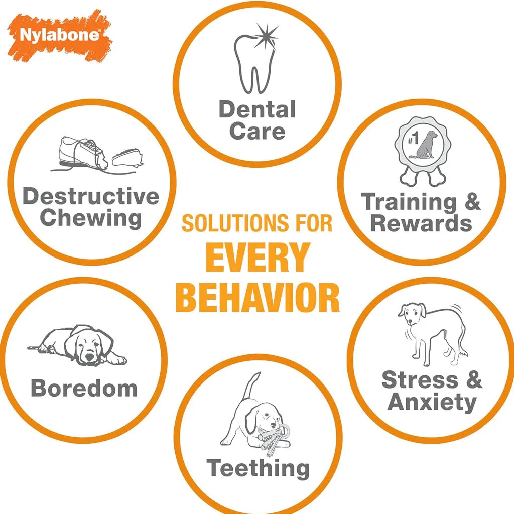 Nylabone Puppy Dental Dinosaur Chew Toy for Teething Puppies Chicken Flavor, Small/Regular