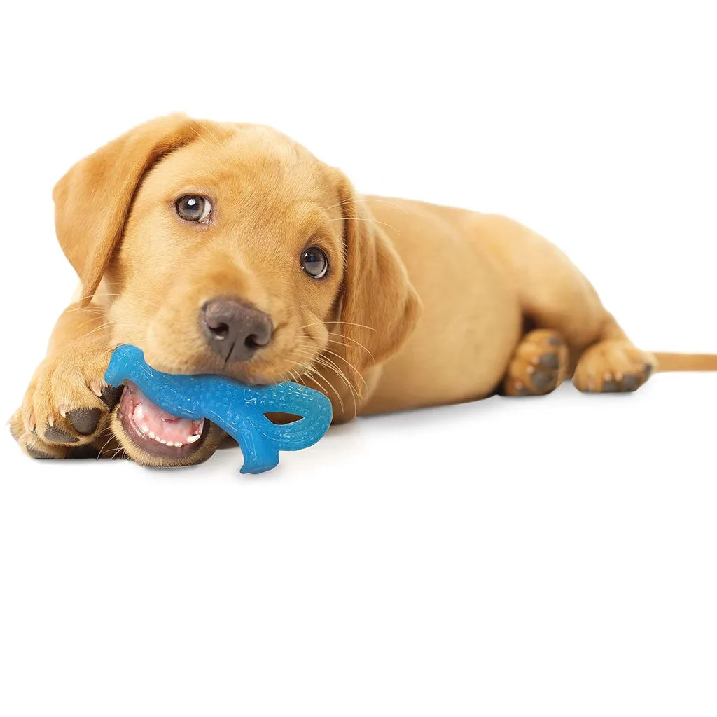 Nylabone Puppy Dental Dinosaur Chew Toy for Teething Puppies Chicken Flavor, Small/Regular