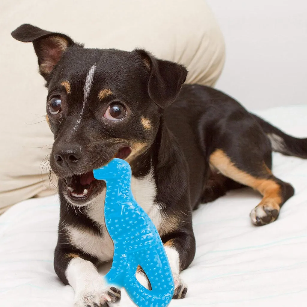 Nylabone Puppy Dental Dinosaur Chew Toy for Teething Puppies Chicken Flavor, Small/Regular
