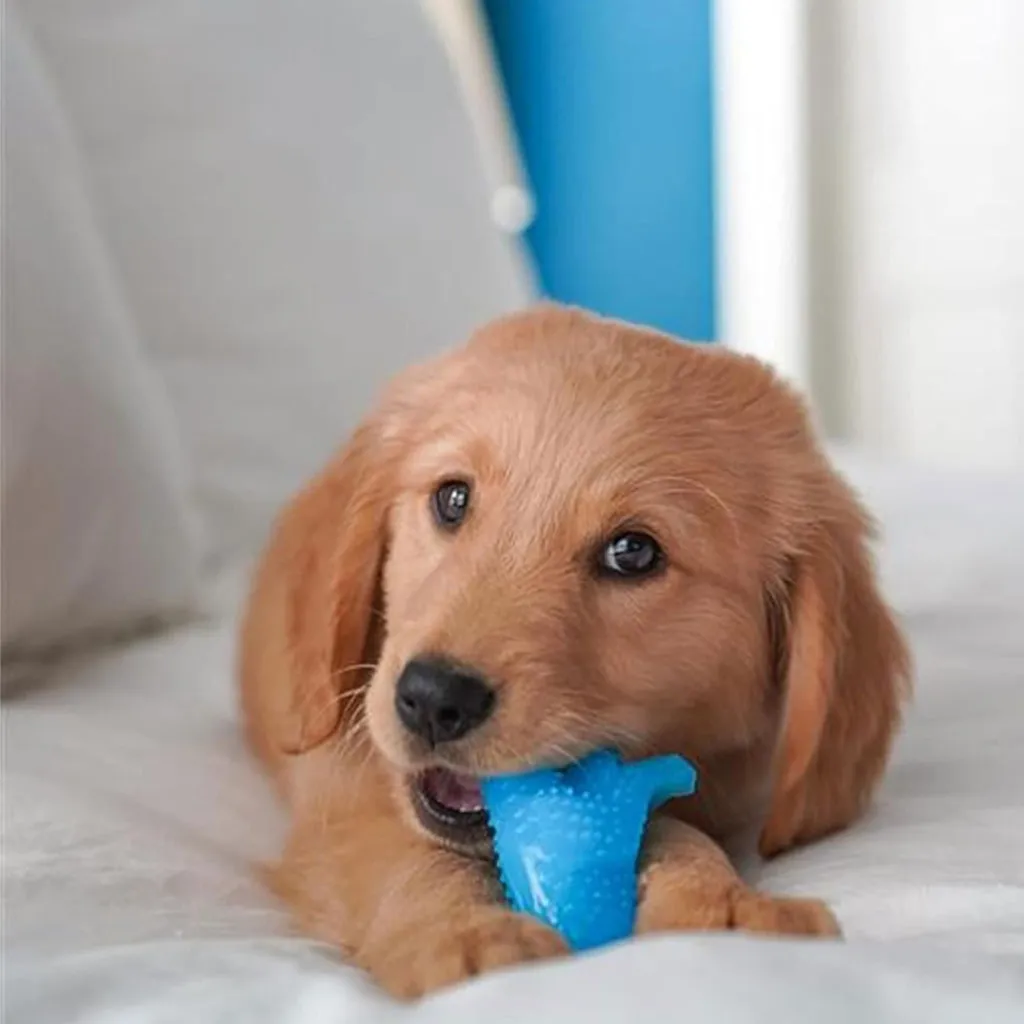 Nylabone Puppy Dental Dinosaur Chew Toy for Teething Puppies Chicken Flavor, Small/Regular