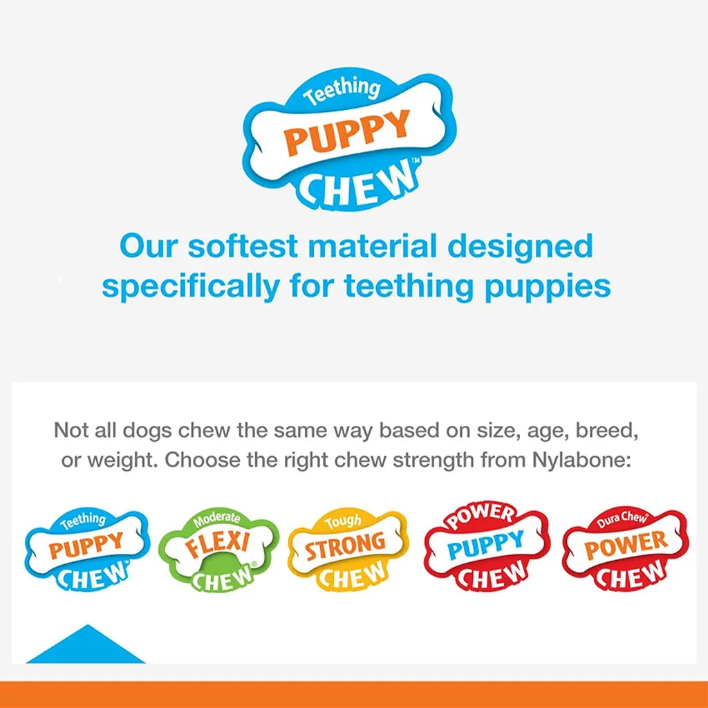 Nylabone Puppy Dental Dinosaur Chew Toy for Teething Puppies Chicken Flavor, Small/Regular