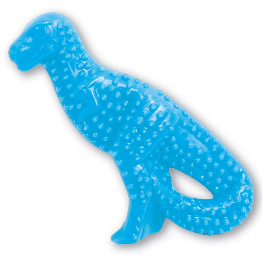 Nylabone Puppy Dental Dinosaur Chew Toy for Teething Puppies Chicken Flavor, Small/Regular