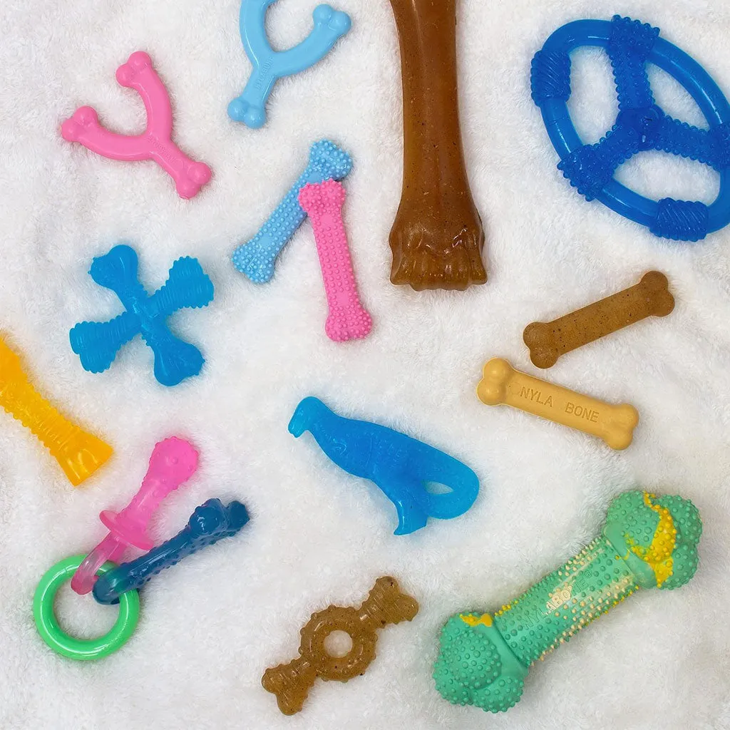 Nylabone Puppy Dental Dinosaur Chew Toy for Teething Puppies Chicken Flavor, Small/Regular
