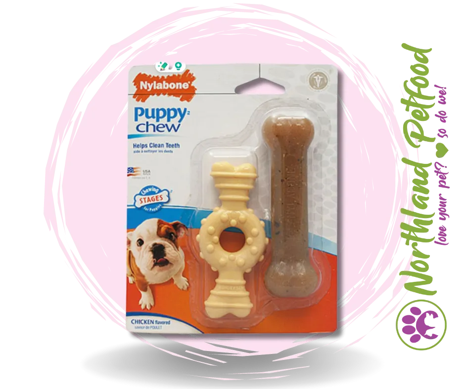 Nylabone Puppy Twin Pack