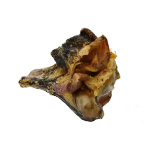 Ostrich knuckle large