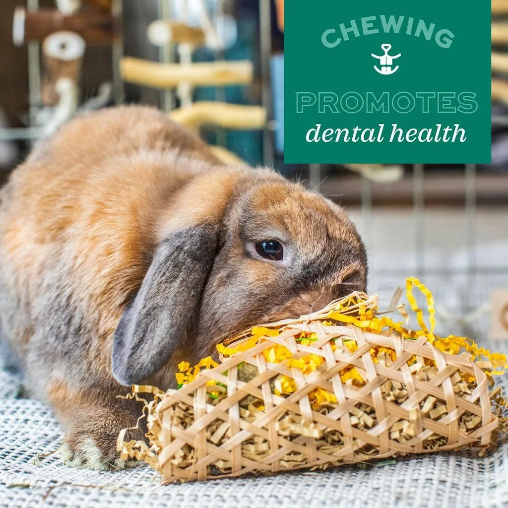 Oxbow Animal Health Enriched Life Timothy Waffle Small Animal Chew Toy