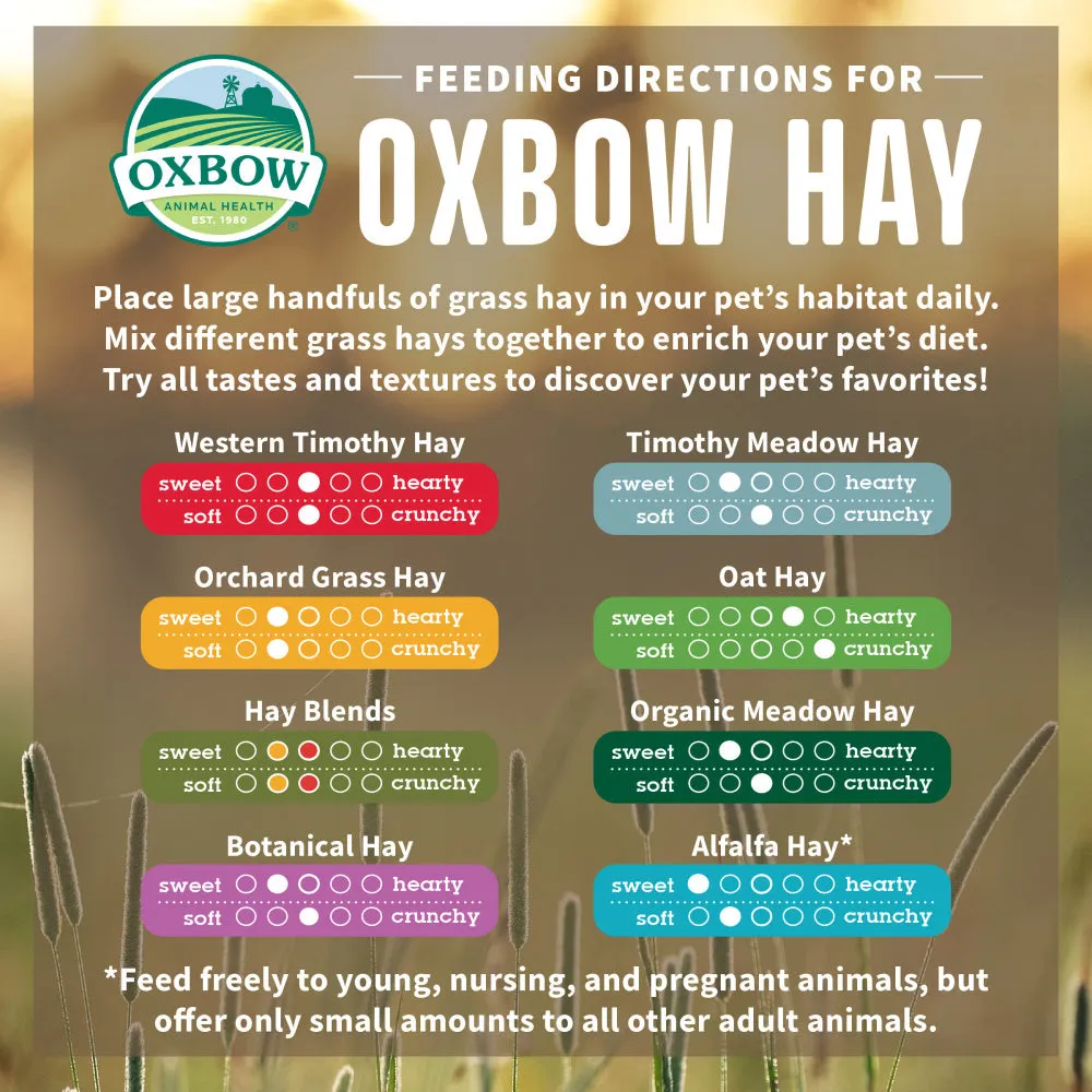 Oxbow Animal Health Orchard All Natural Grass Hay for Chinchillas Rabbits Guinea Pigs Hamsters & Gerbils