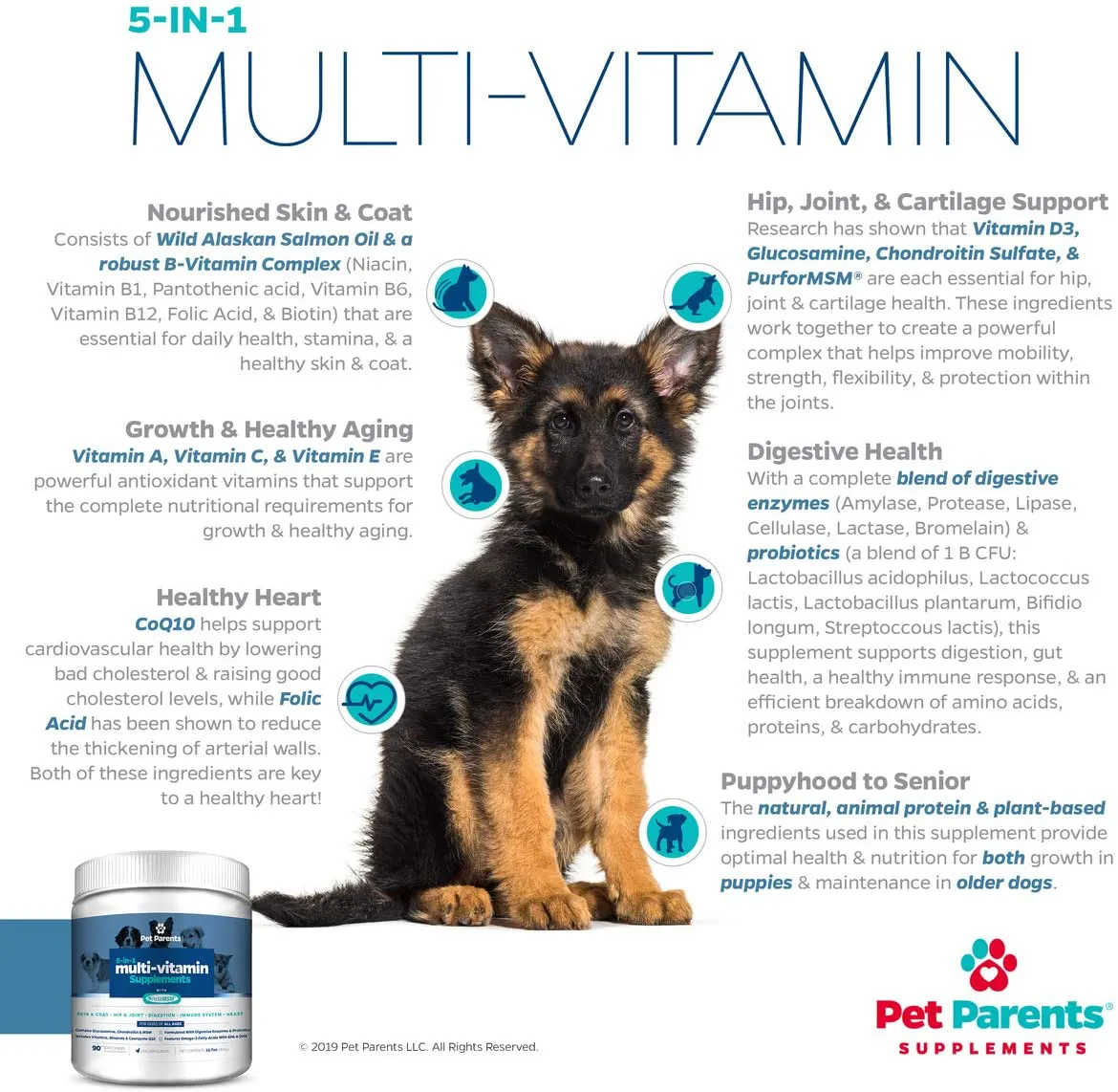 Pet Parents USA Dog Multivitamin 4g 90c- Omega 3 For Dogs   Glucosamine for Dogs   Dog Probiotics   MSM for Dogs, Multivitamin for Dogs, Dog Vitamins   Dog Immunity, Vitamins For Dogs & Puppy Vitamins