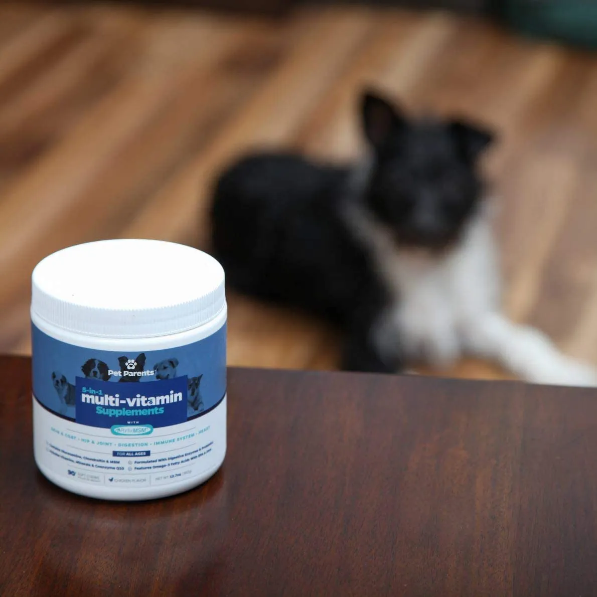 Pet Parents USA Dog Multivitamin 4g 90c- Omega 3 For Dogs   Glucosamine for Dogs   Dog Probiotics   MSM for Dogs, Multivitamin for Dogs, Dog Vitamins   Dog Immunity, Vitamins For Dogs & Puppy Vitamins