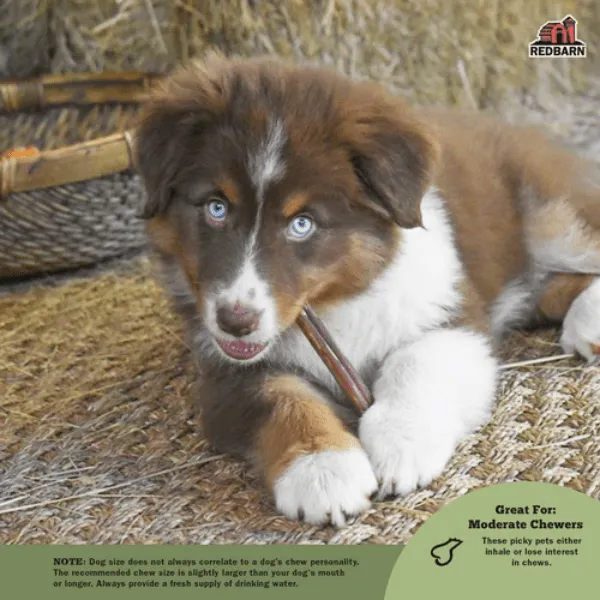 RedBarn Odor-Free Bully Stick 7"