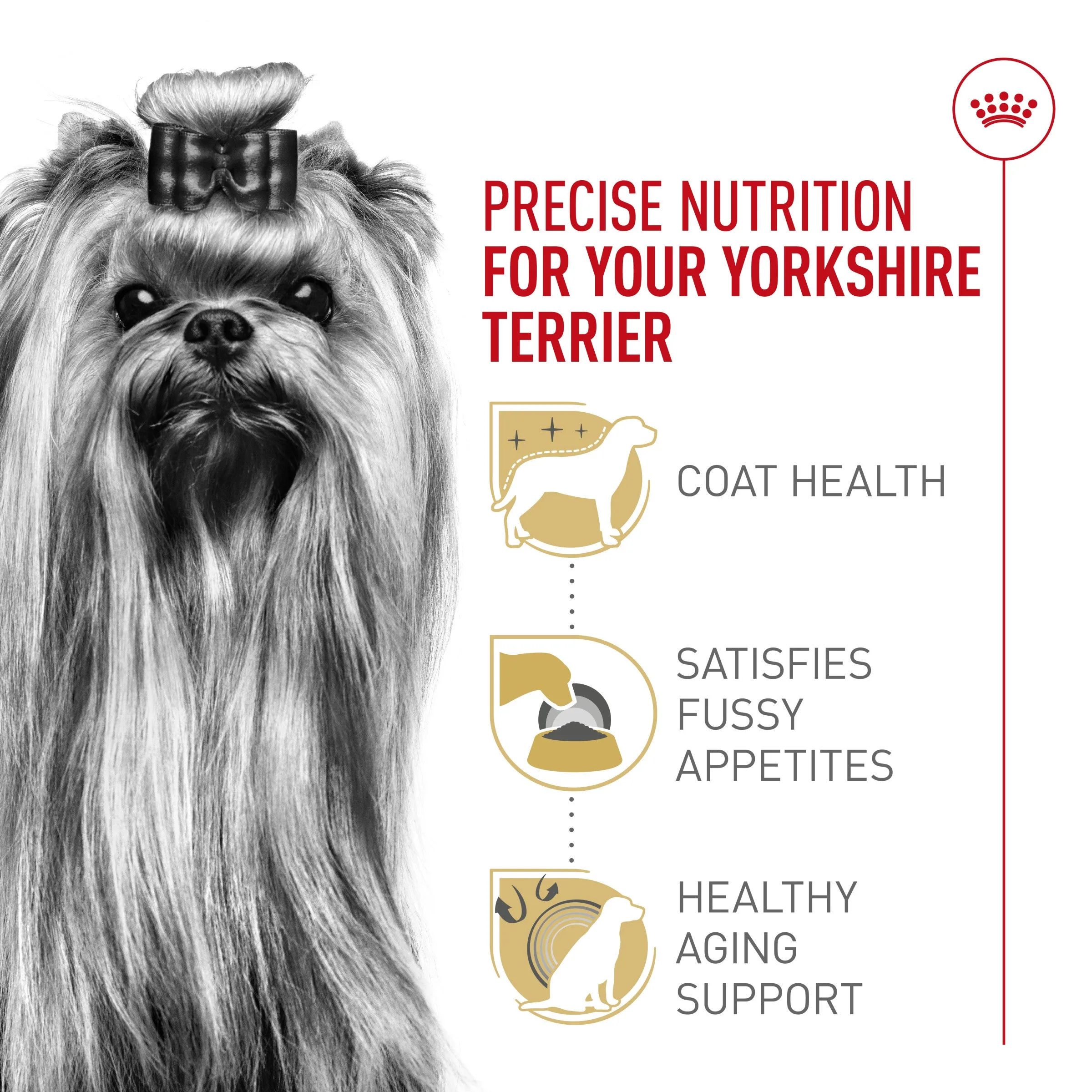 Royal Canin® Breed Health Nutrition® Yorkshire Terrier Adult Dry Dog Food