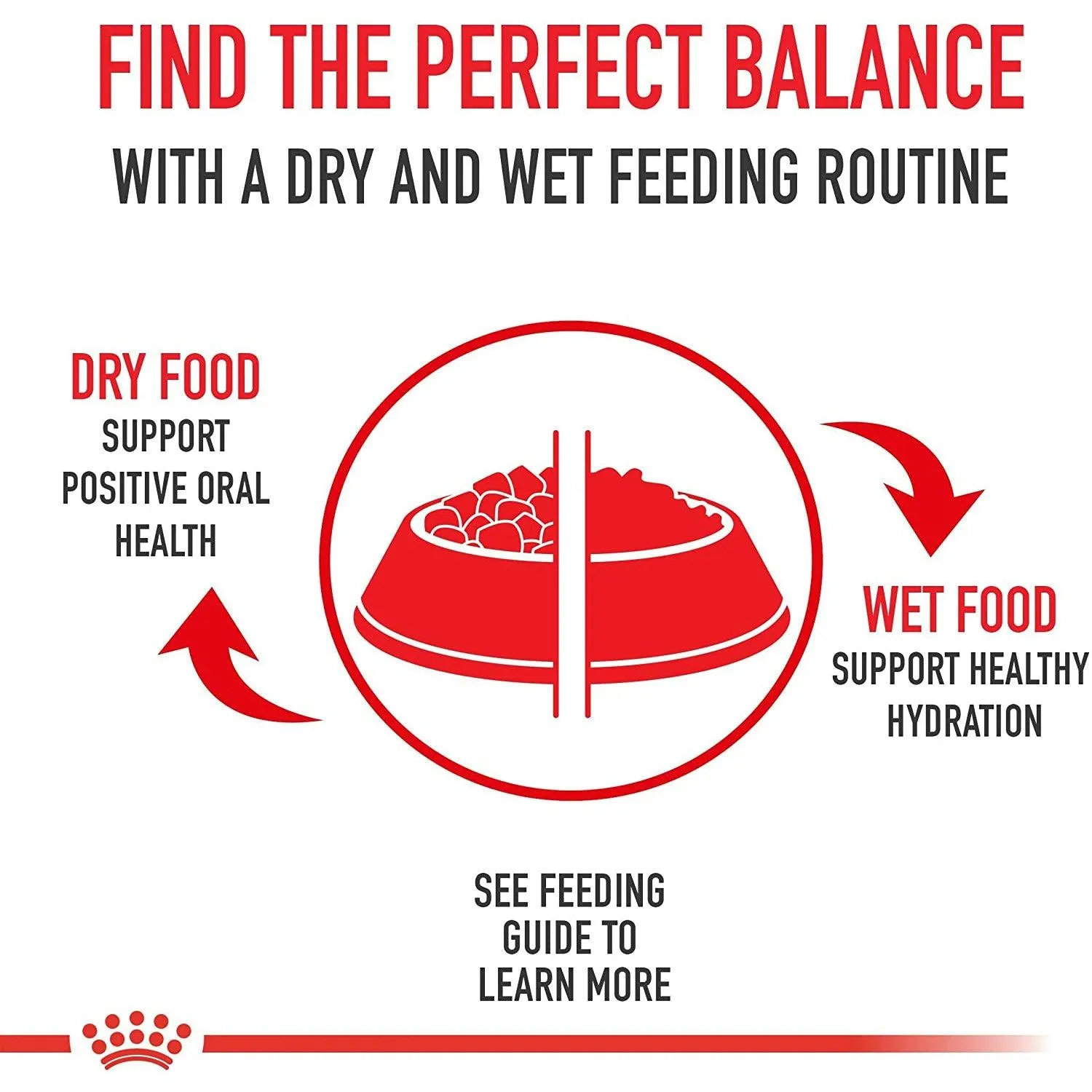 Royal Canin® Breed Health Nutrition® Yorkshire Terrier Adult Dry Dog Food