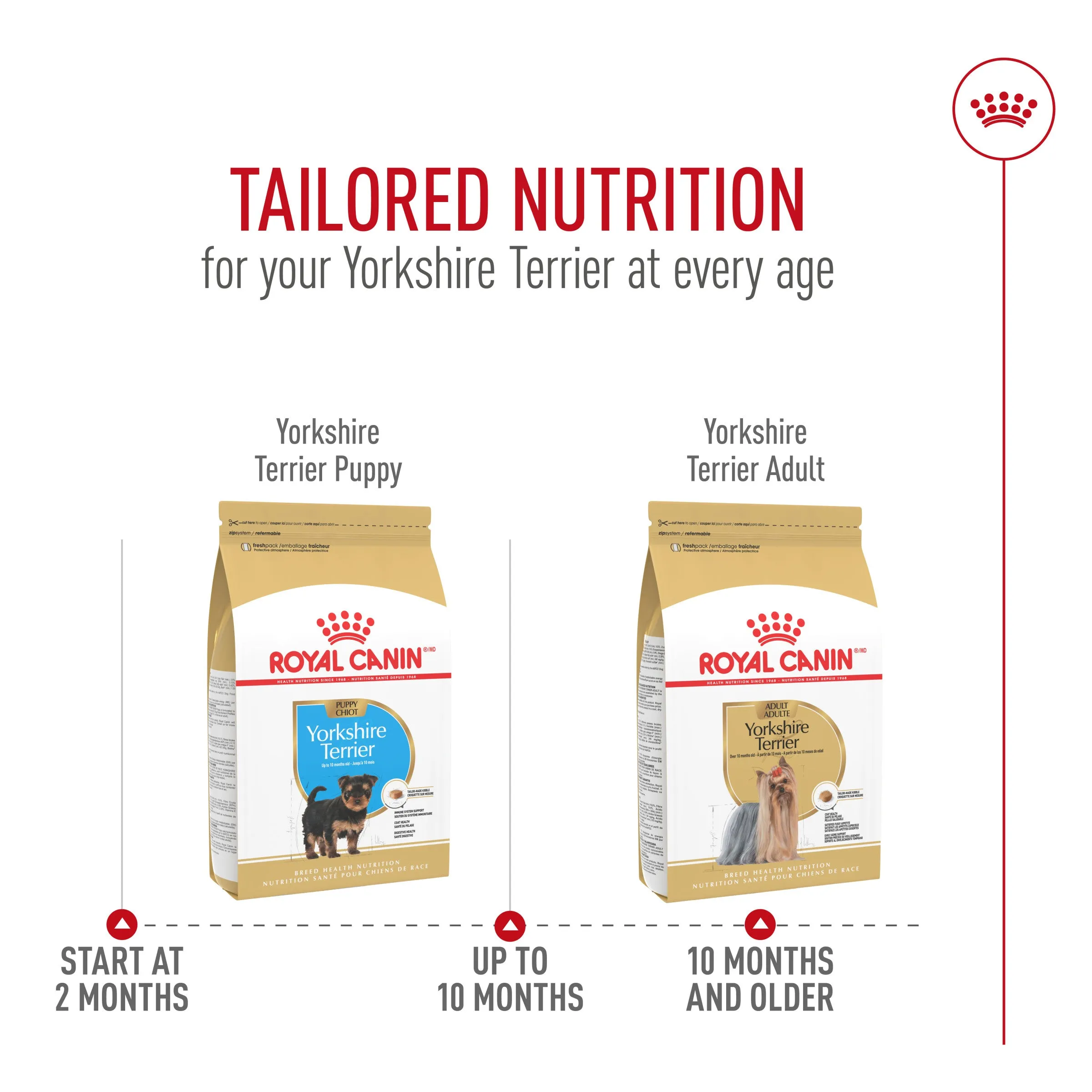 Royal Canin® Breed Health Nutrition® Yorkshire Terrier Adult Dry Dog Food