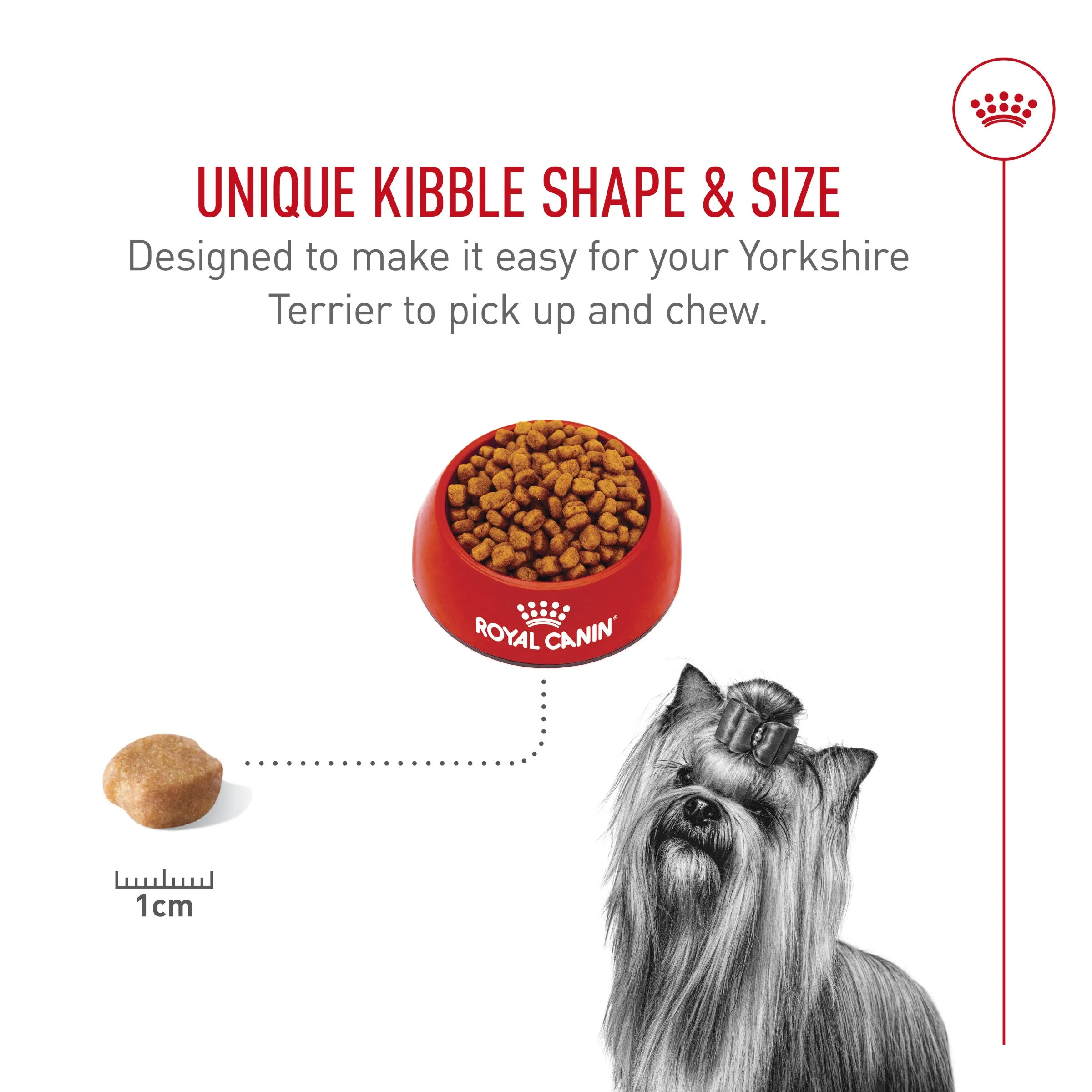Royal Canin® Breed Health Nutrition® Yorkshire Terrier Adult Dry Dog Food