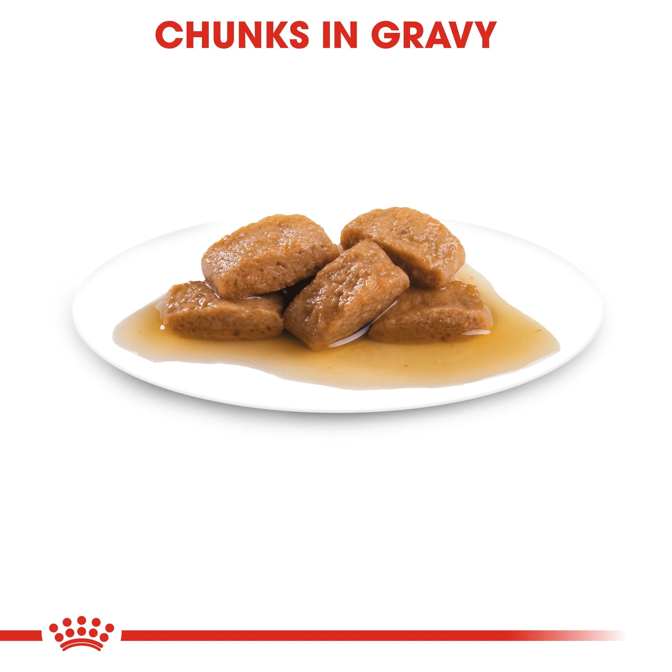 Royal Canin Maxi Ageing in Gravy Pouch 140g