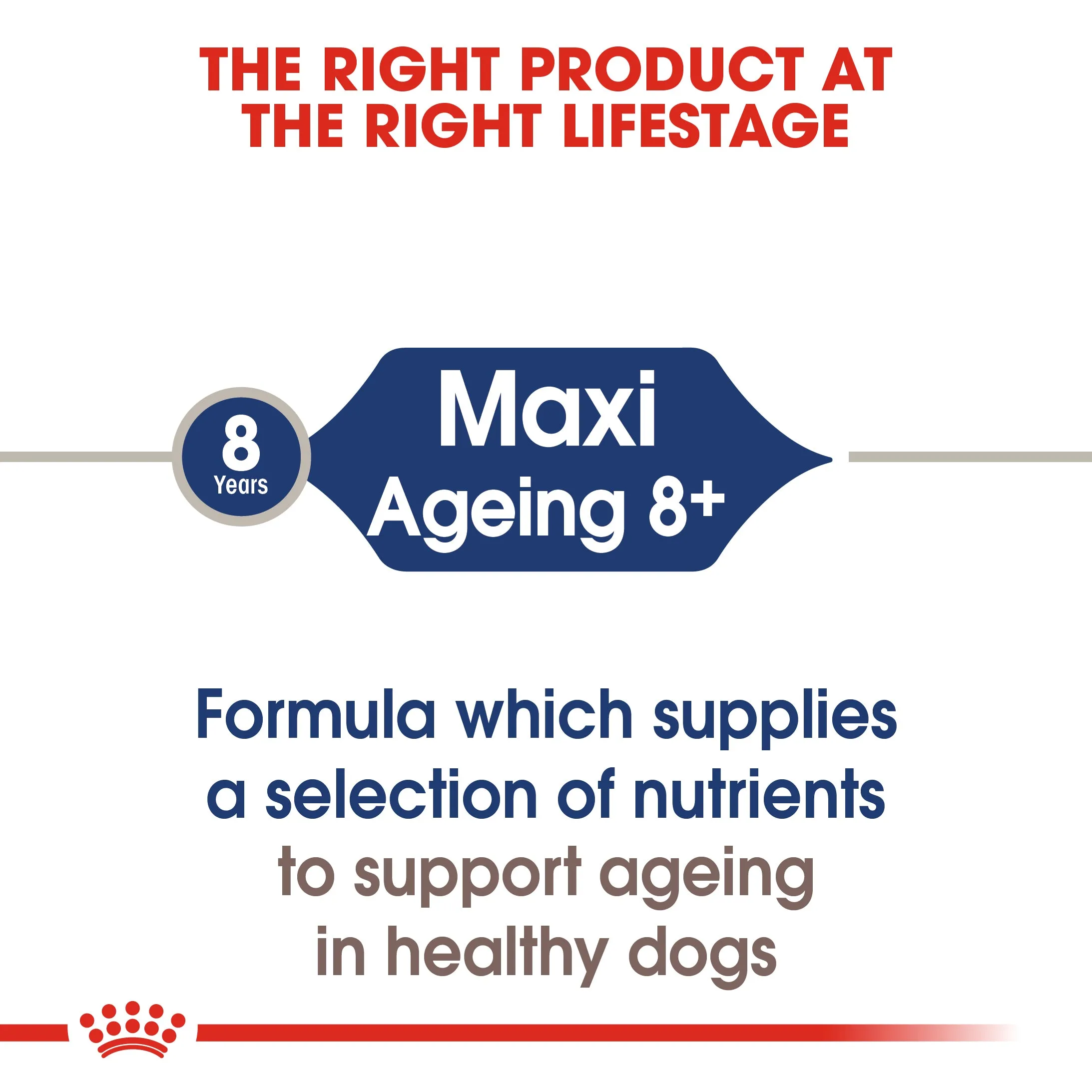 Royal Canin Maxi Ageing in Gravy Pouch 140g