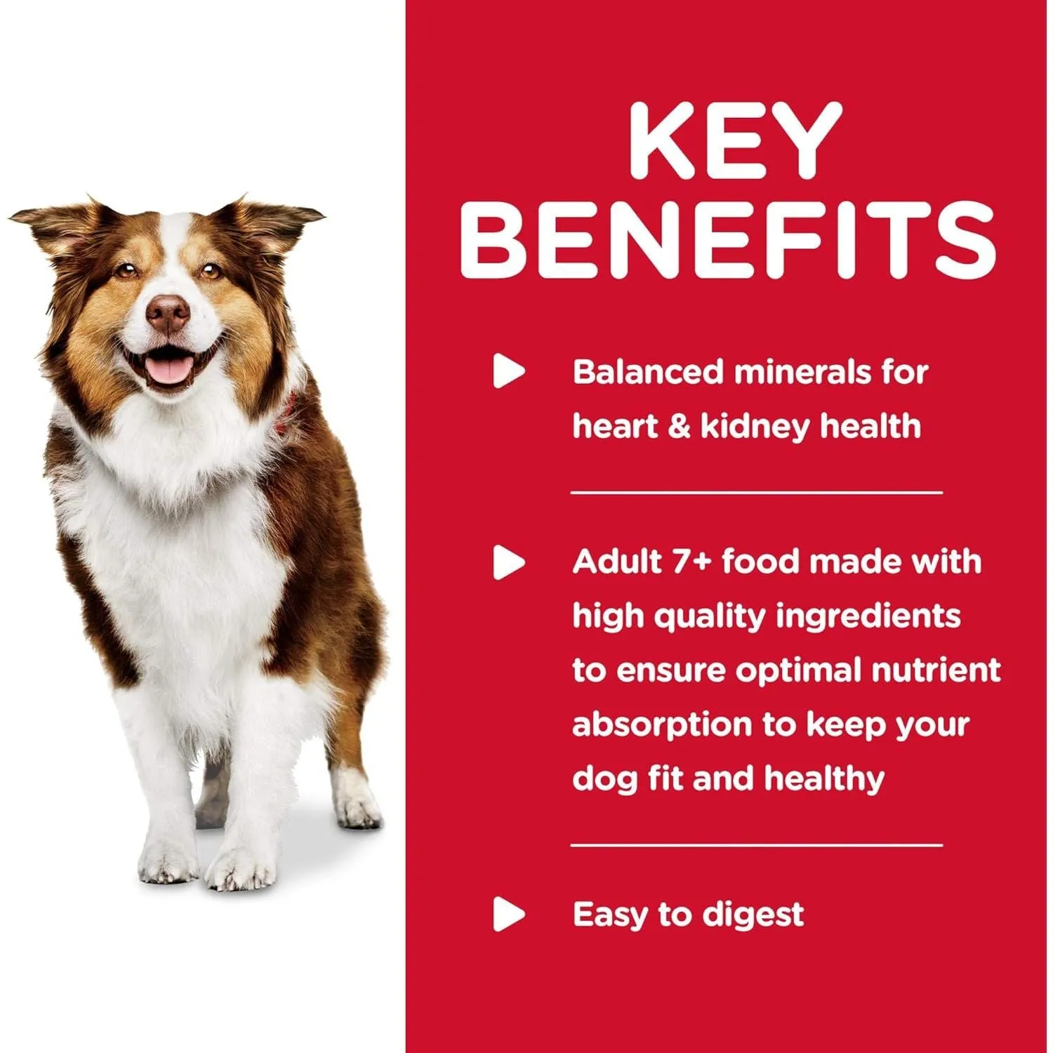 Science Diet Canine Can Healthy Cuisine Beef 7 