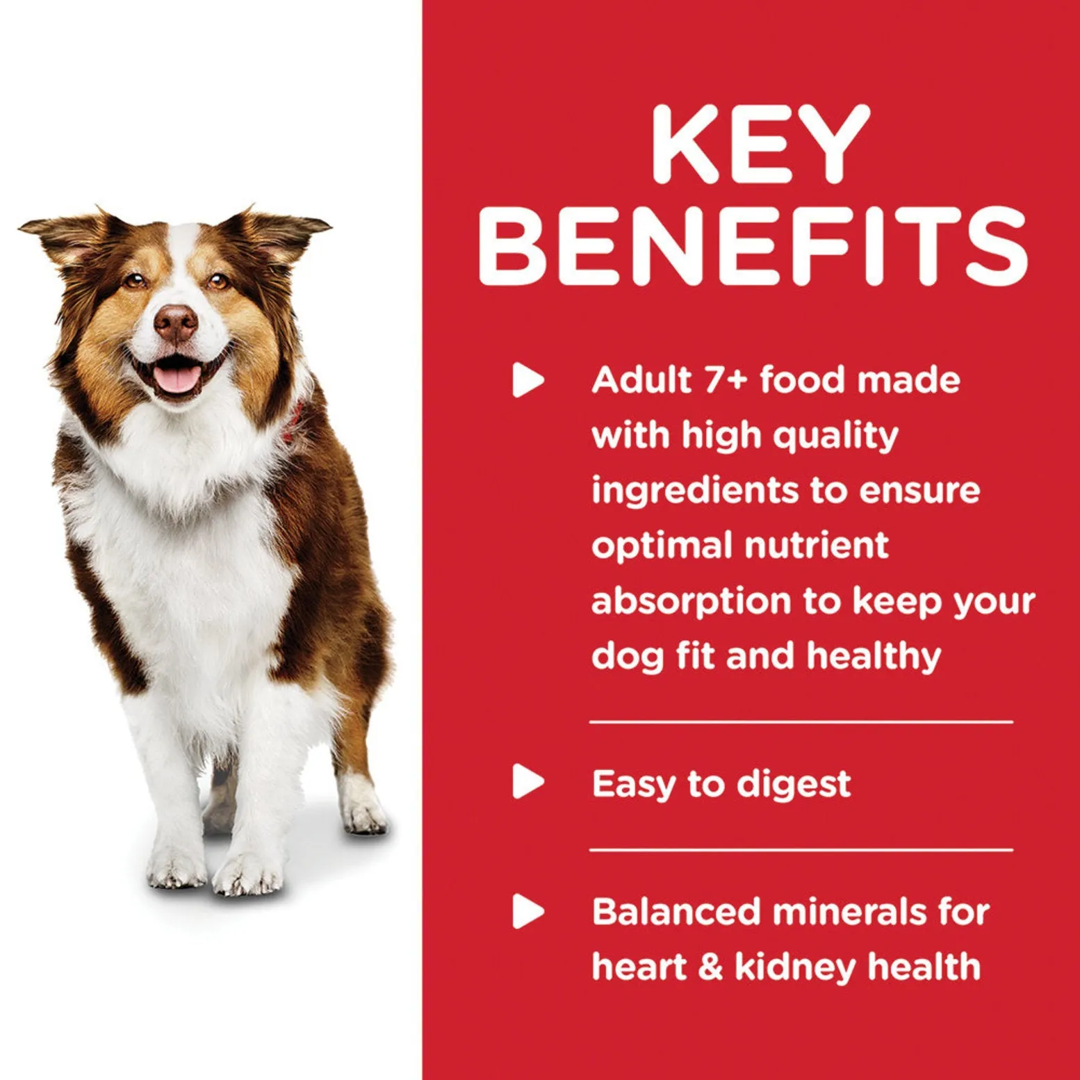 Science Diet Canine Can Healthy Cuisine Chicken 7 