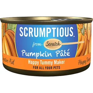 Scrumptious Pumpkin Pate 2.8OZ | Dog & Cat