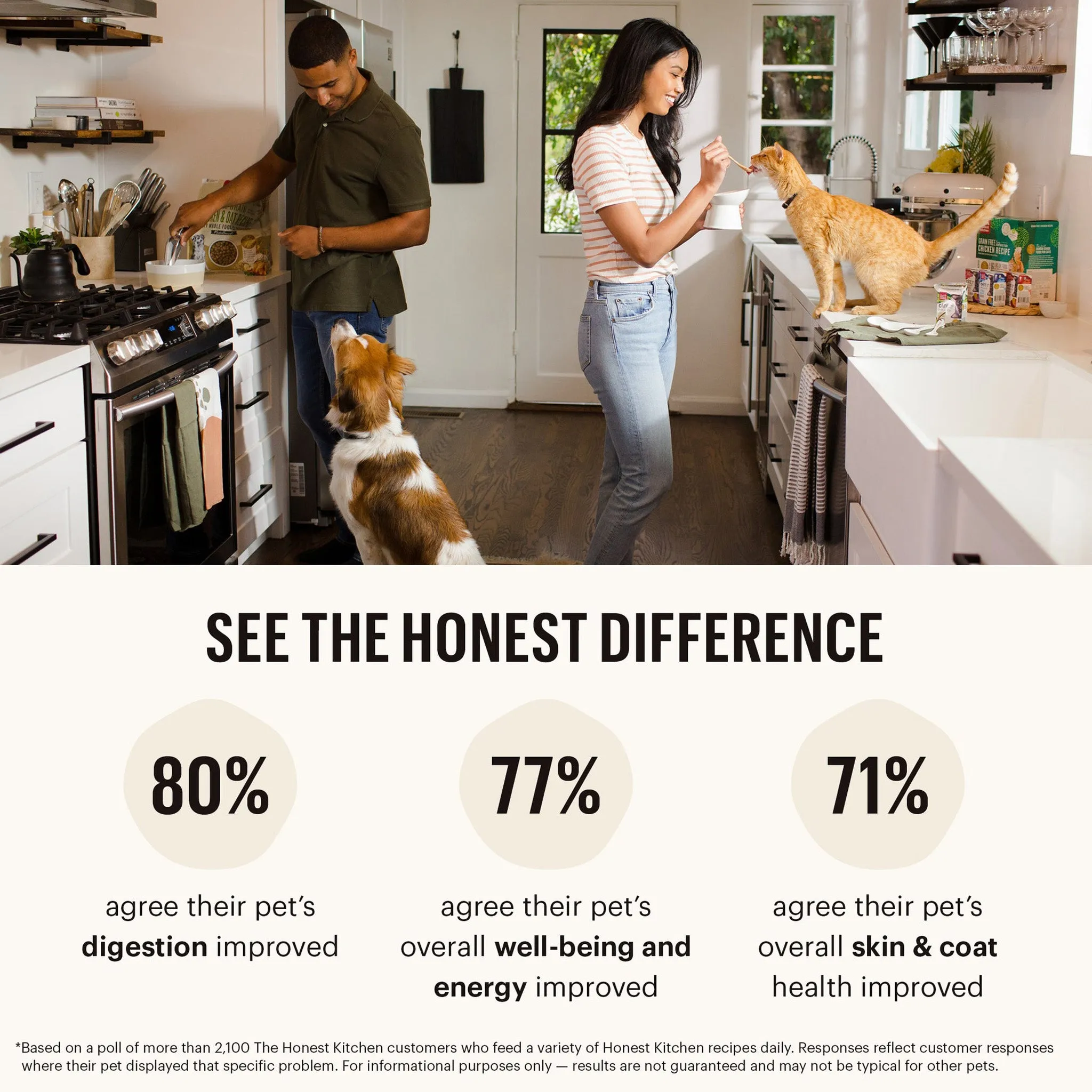 The Honest Kitchen One Pot Stew Dog Wet Food